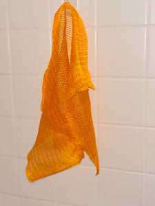 African Net Sponge